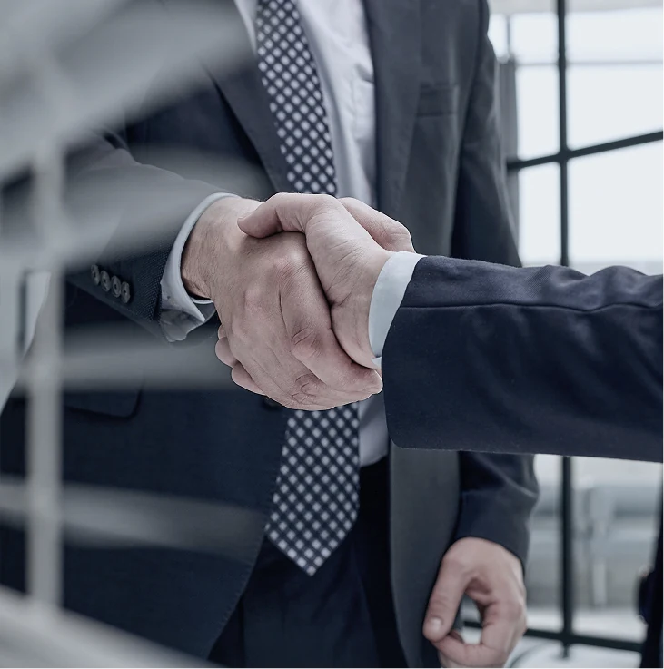 Business partners shaking hands